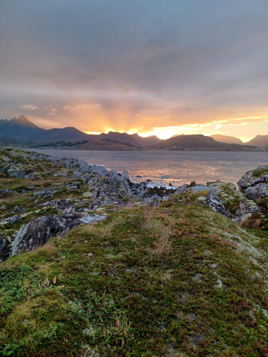 View 4, Lofotenholidays, Luxury cabin with panoramic view, Vestvågøy
