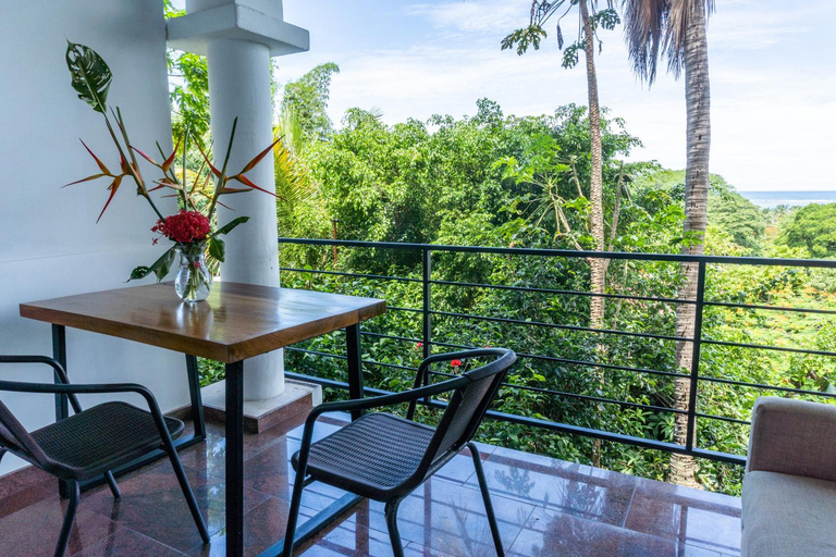 Others 5, Mot Mot Vacation, Nicoya