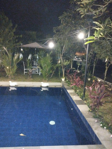 Swimming Pool 7