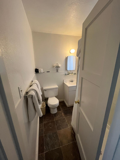 Bathroom 3, June Lake Villager, Mono
