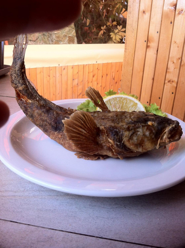 Food & Drinks 5, Hotel Poseidon, Balchik