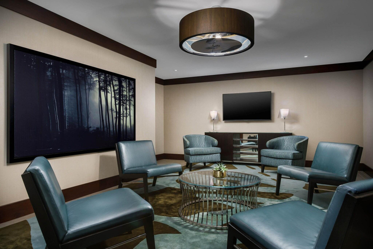Public Area 3, The Westin Portland Harborview, Cumberland