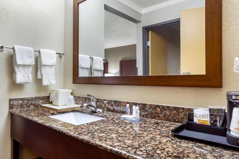 Bathroom 4, Comfort Inn Hoffman Estates - Schaumburg, Cook