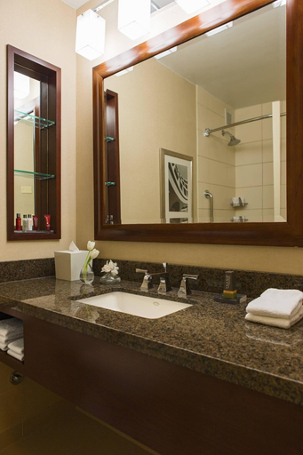 Bathroom 4, Chicago Marriott Oak Brook, Dupage