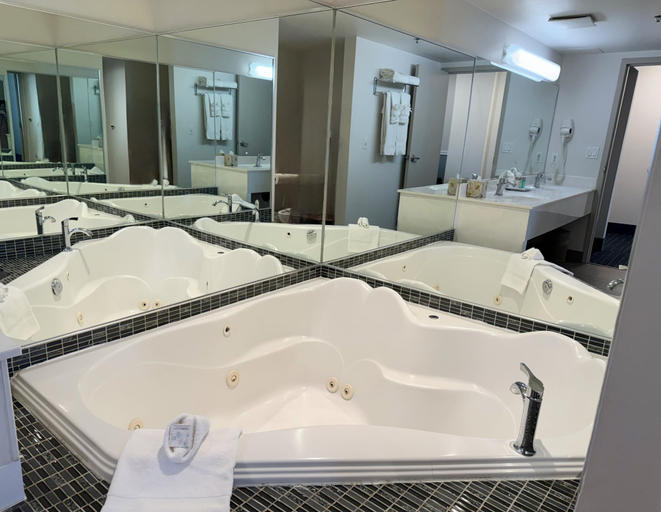 Bathroom 4, Divya Sutra Plaza and Conference Centre Calgary Airport, Division No. 6