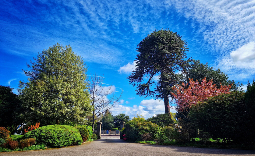 Others 5, The Pines Guesthouse, Moray