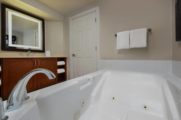 Bathroom 4, Marriott's BeachPlace Towers, Broward