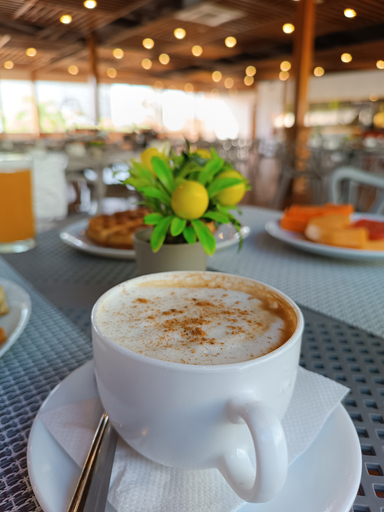 Food & Drinks 5, Hotel Margarita Dynasty C. A, Mariño