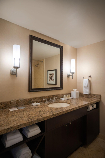 Bathroom 5, Renaissance Dallas Addison Hotel, Dallas