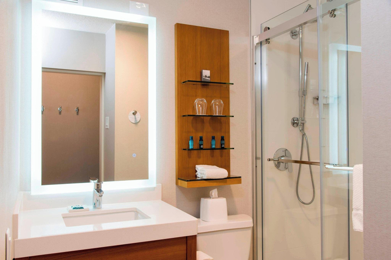 Bathroom 5, Sonesta Hotel Grand Rapids Airport, Kent