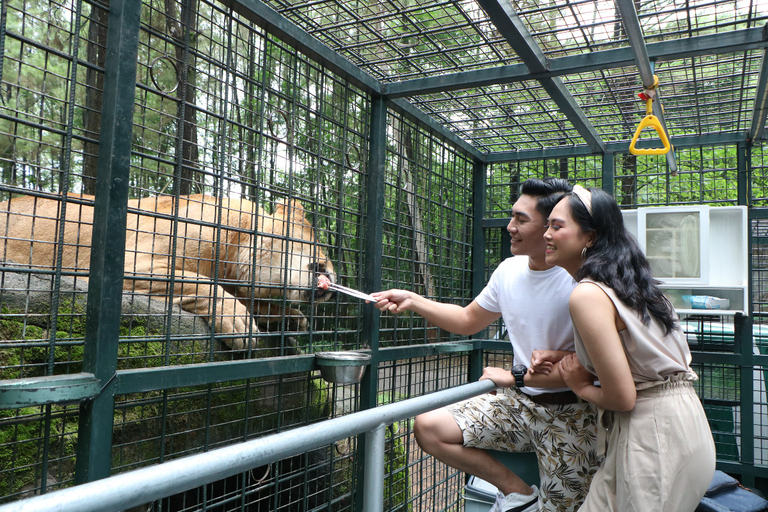 Others 2, BAOBAB SAFARI RESORT, Pasuruan
