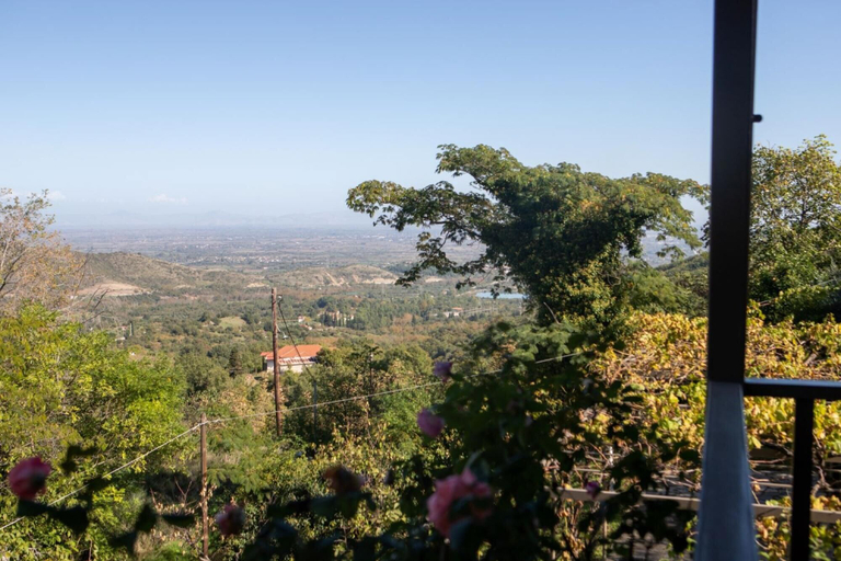 Others 3, All Seasons Guest House, Thessaly