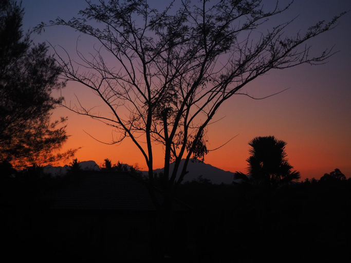 Scenery 7