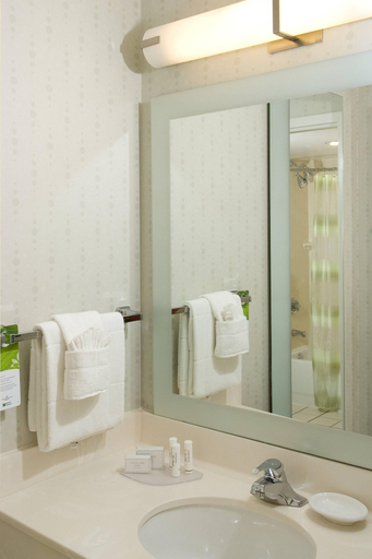 Bathroom 4, Springhill Suites Convention Ctr Intl Drive Area, Orange