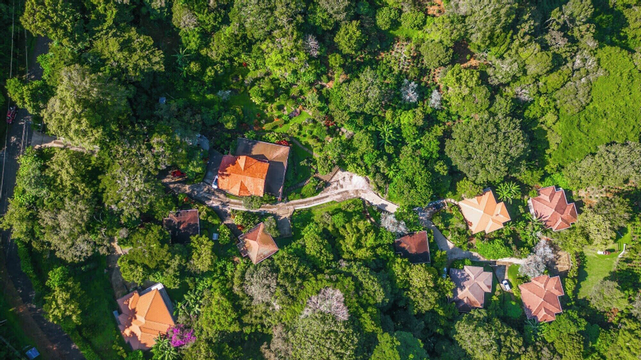 Coffee Estate Inn, Boquete