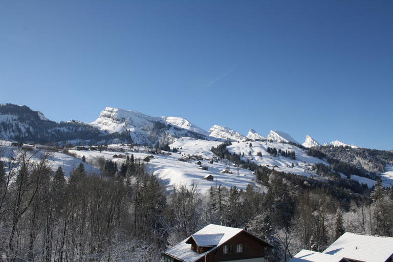 Others 5, Hotel Restaurant Schv Nau, Toggenburg