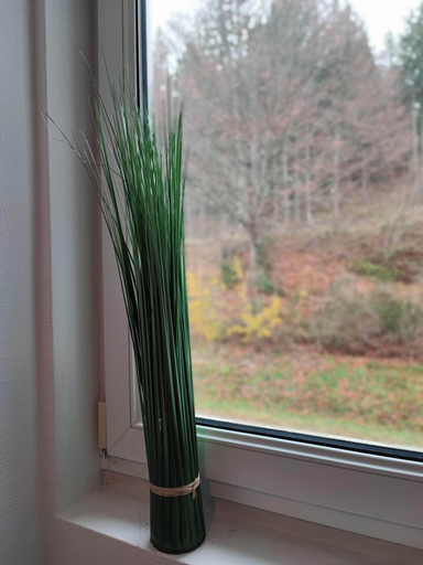 Others 5, Room in Guest Room - Pension Forelle - Double Room No01 in Hundsbach, Rastatt