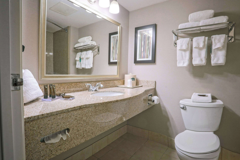 Bathroom 4, Wingate by Wyndham Savannah/Pooler, Chatham