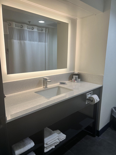 Bathroom 4, Four Points by Sheraton Greensboro Airport, Guilford