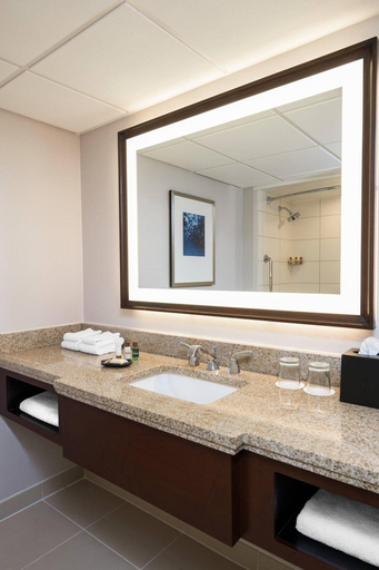Bathroom 4, Sheraton Memphis Downtown, Shelby