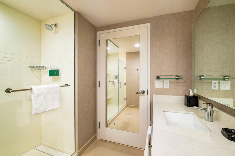 Bathroom 4, Residence Inn Houston Medical Center/Nrg Park, Houston