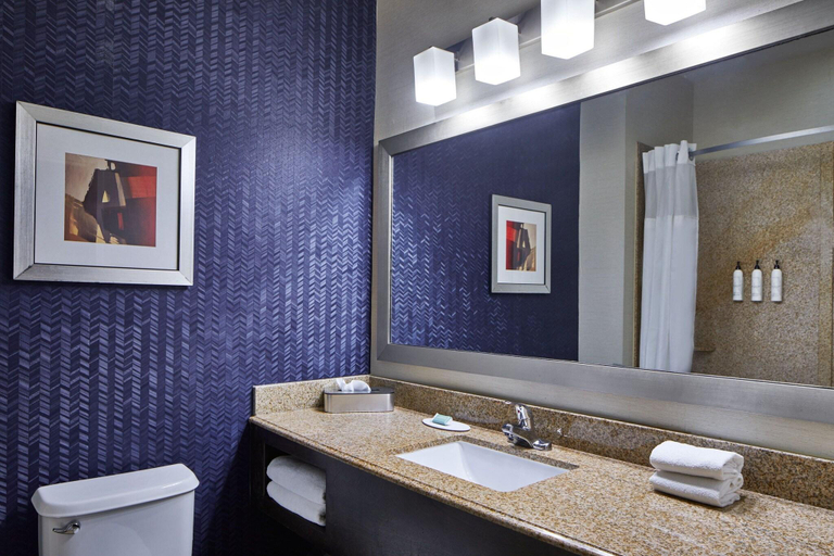 Bathroom 4, Fairfield Inn and Suites Gainesville, Hall
