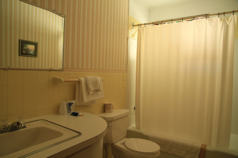 Bathroom 3, Regent Motel, Saint John