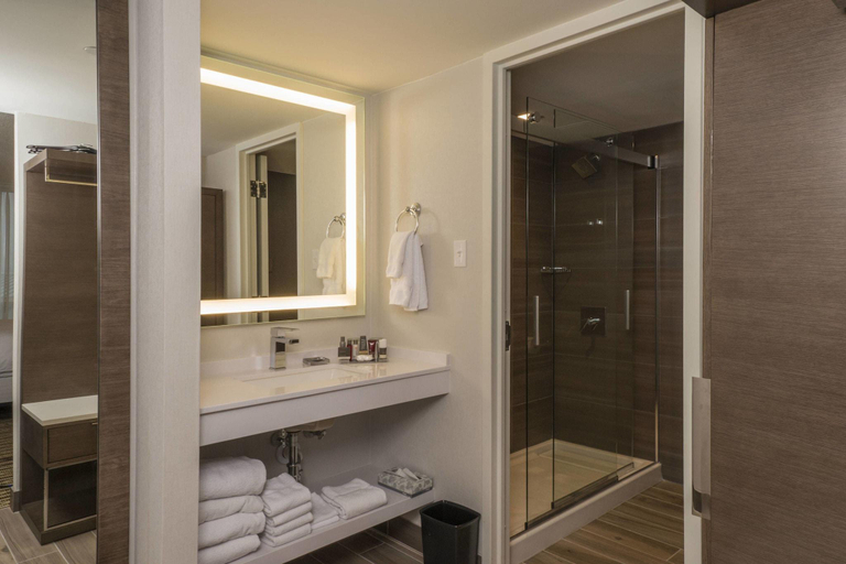 Bathroom 5, Minneapolis Marriott Southwest, Hennepin