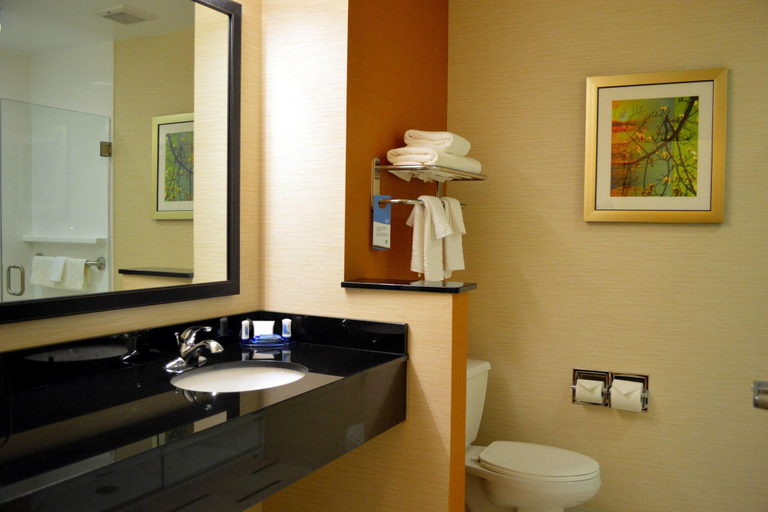 Bathroom 4, Fairfield Inn & Suites Quantico Stafford, Stafford