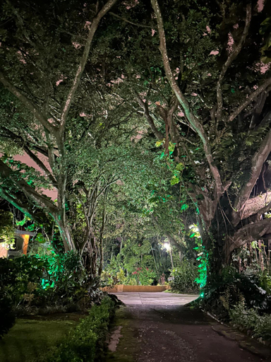 Others 5, Trapp Family Country Inn, Alajuela