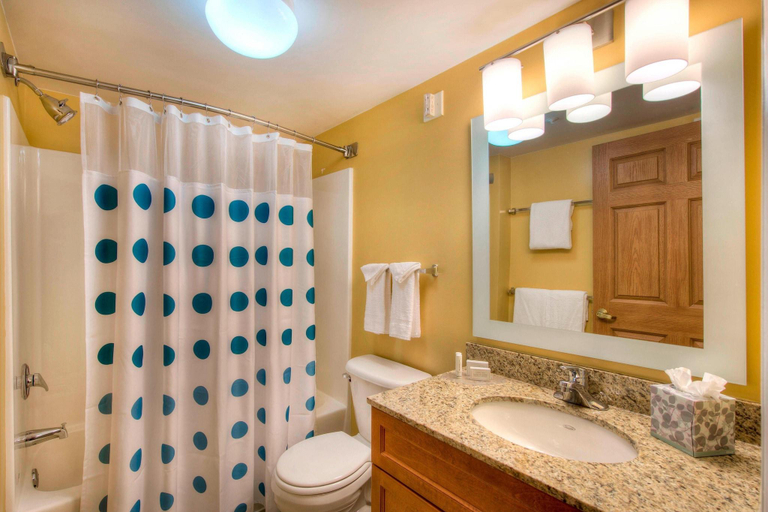 Bathroom 4, TownePlace Suites Raleigh Cary/Weston Parkway, Wake