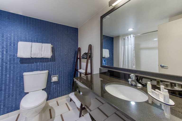 Bathroom 4, Fairfield Inn & Suites Raleigh Crabtree Valley, Wake