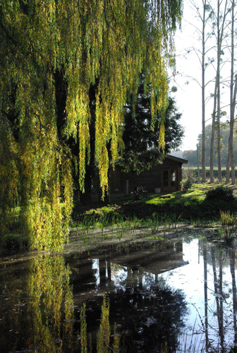 Others 4, Camping Smile & Braudieres, Sarthe