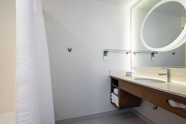 Bathroom 3, SpringHill Suites Tampa North/I-75 Tampa Palms, Hillsborough