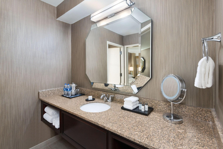 Bathroom 4, Sheraton Suites Galleria, Cobb