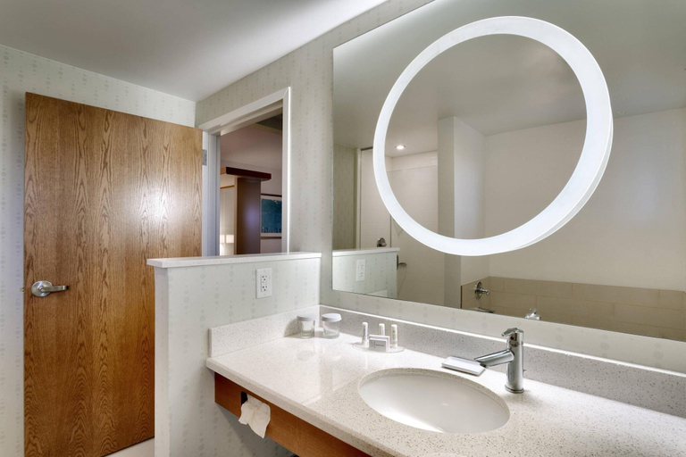 Bathroom 5, SpringHill Suites by Marriott Rexburg, Madison