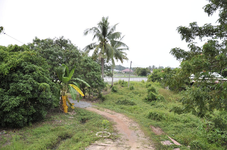 Others 4, Kejora Homestay, Perlis