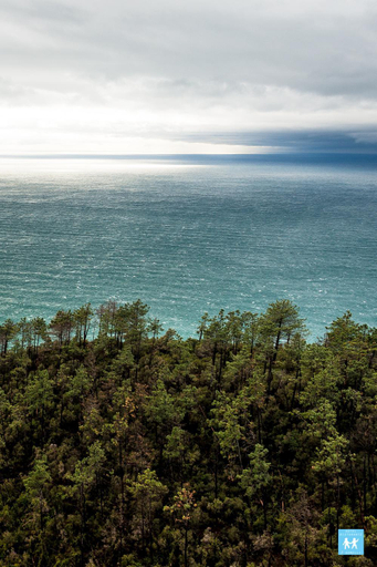 Scenery 3