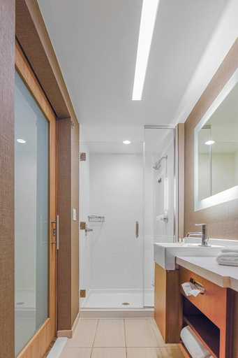 Bathroom 5, SpringHill Suites Fishkill, Dutchess