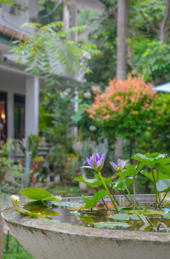Others 3, Palm Garden Guest House, Habaraduwa