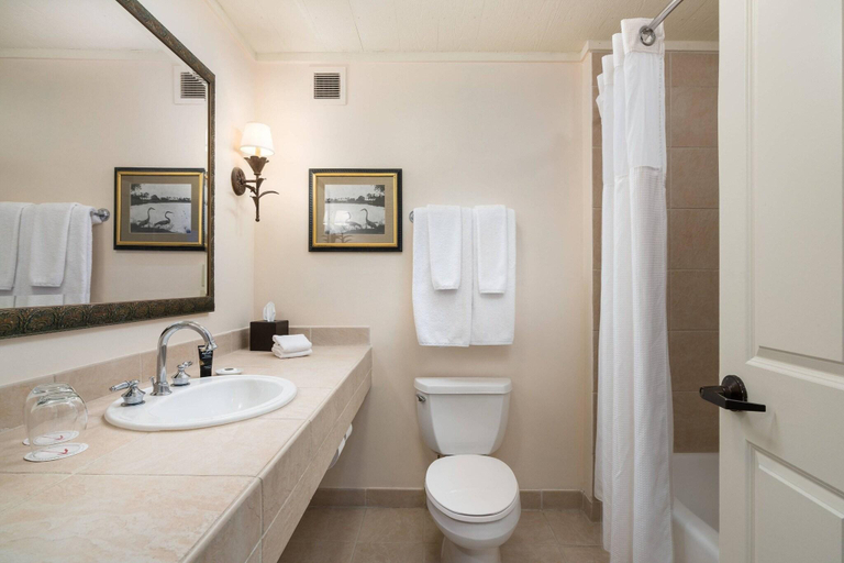 Bathroom 5, Bohemian Hotel Celebration, Autograph Collection, Osceola