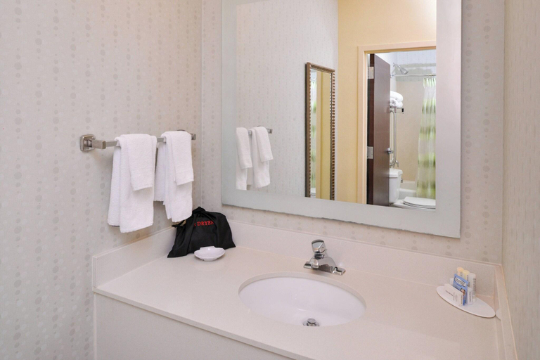 Bathroom 4, SpringHill Suites Pinehurst Southern Pines, Moore