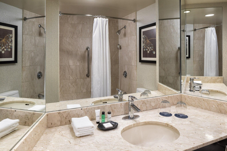 Bathroom 4, Sheraton Chicago O'Hare Airport Hotel, Cook