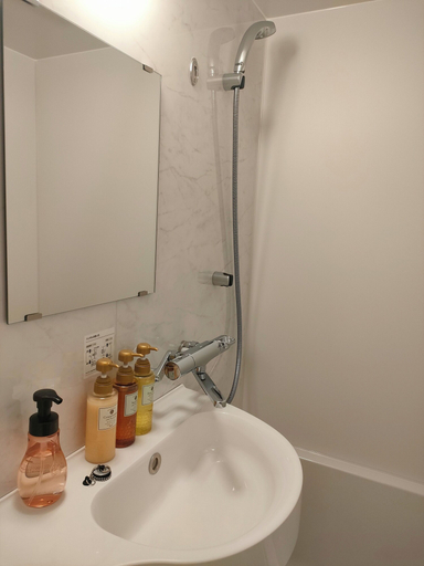 Bathroom 5, Sanrriott Kitahama, Osaka