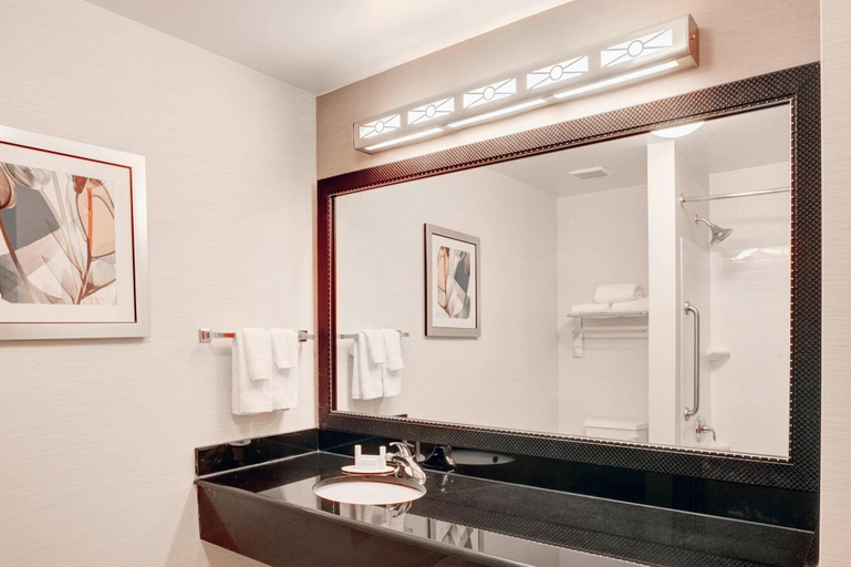Bathroom 4, Fairfield Inn & Suites Cartersville, Bartow