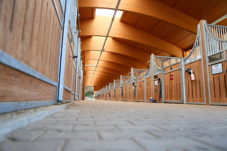 Others 5, Allgau Meadow Ranch, Lindau (Bodensee)