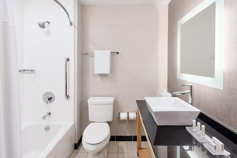 Bathroom 5, Springhill Suites Roanoke, Roanoke City