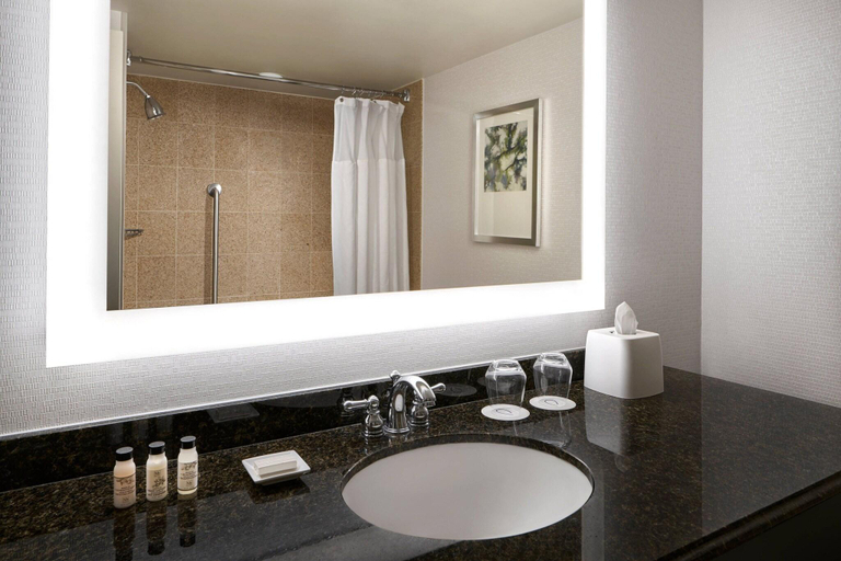 Bathroom 4, Delta Hotels Chesapeake Norfolk, Chesapeake