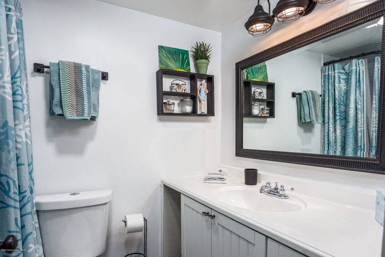 Bathroom 4, Kingston Arms 1st Fl Cottage, Sarasota