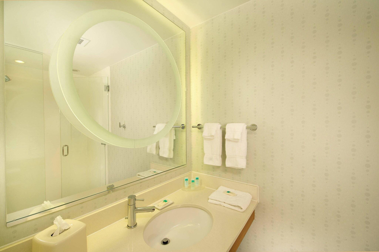 Bathroom 4, SpringHill Suites Alexandria, Fairfax